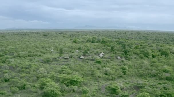 Luchtfoto Van Savanne Met Het Dorp Waar Stammen Wonen Hutten — Stockvideo