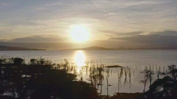 Kenya Yarık Vadisi Nakuru Gölü Milli Parkı Havadan Görünüyor Güzel — Stok video