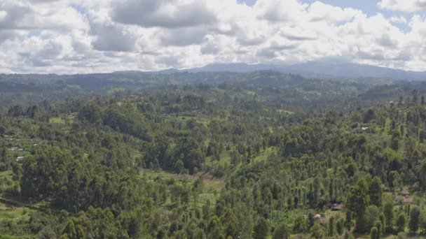 Vzdušný Výhled Krajinu Čajových Plantáží Keni Hory Hřebeny Nichž Čaj — Stock video