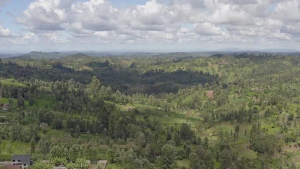 Widok Lotu Ptaka Plantacji Herbaty Kenii Góry Grzbiety Których Rośnie — Wideo stockowe