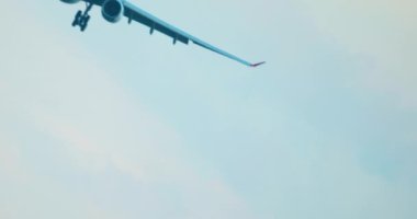 Kyiv Boryspil havaalanına inen Türk Hava Yolları uçağının videosu. Bir uçağın güzel yakın çekim videosu. Uçakla 4 atış..