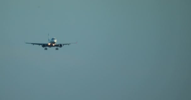 飞机正在机场着陆 购买有灯光的飞机的计划 该飞机将在蓝天降落 鸟儿在前景中飞翔 — 图库视频影像