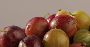 Bektaşi üzümlü Makro shot. Taze, sulu, organik, doğal, lezzetli bektaşi üzümü stantları, ve arka planında yer alan defocus üzümüne dönüşür..