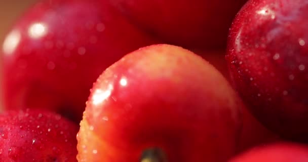 Super Makroaufnahme Von Kirschfrüchten Frische Saftige Organische Köstliche Rot Gelbe — Stockvideo
