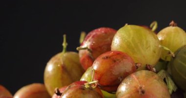 Mevsimlik bektaşi üzümü meyvesinin yakın çekimi. Taze, sulu, organik, renkli bektaşi üzümleri siyah arka planda dönüyor.