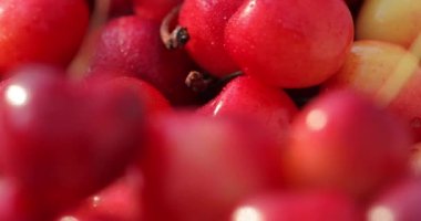 Neşeli bir fotoğrafın yakın çekimi. Taze, sulu, organik, doğal, lezzetli neşeli kulüp etrafında dönüyor ve ön planda ise neşe var..