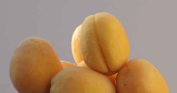 Makro Skott Aprikos Färska Ekologiska Naturliga Saftiga Välsmakande Gula Aprikoser — Stockvideo