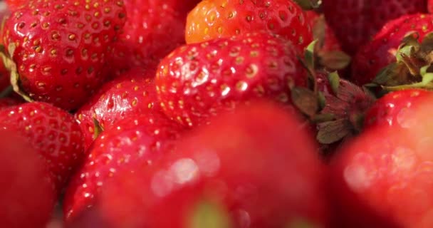 Zbliżenie Truskawek Świeże Organiczne Naturalne Smaczne Czerwone Truskawki Wirują Przednim — Wideo stockowe