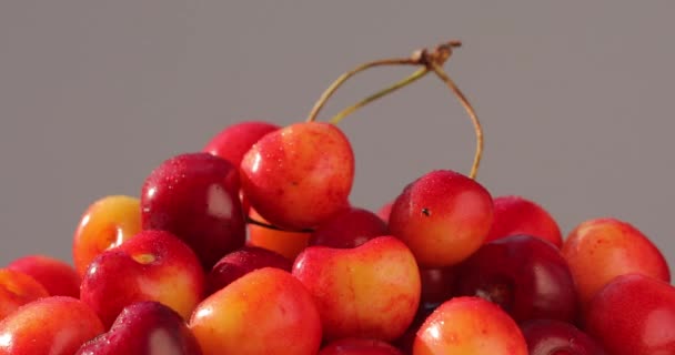 Κοντινό Πλάνο Φρούτα Κεράσι Φρέσκα Ζουμερά Βιολογικά Νόστιμα Κόκκινα Κίτρινα — Αρχείο Βίντεο