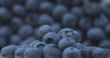 Yaban mersinli yakın çekim. Taze, organik, doğal, lezzetli ve siyah yaban mersinli..