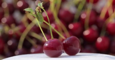 Kirazın yakın plan çekimi. Taze, sulu, organik, kırmızı kirazlar kiraz arkaplanında dönüyor. Doğal arka planı olan güzel bir video..
