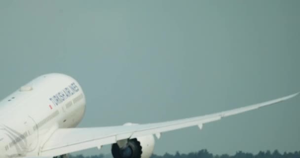 Uluslararası Bir Havaalanında Havalanmak Uçmak Yüksek Kalite Görüntü — Stok video