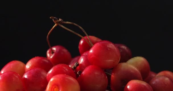 特写镜头快乐的水果 新鲜的 多汁的 有机的 美味的 红黄的樱桃在黑色的背景上旋转着 新鲜季节性水果 — 图库视频影像