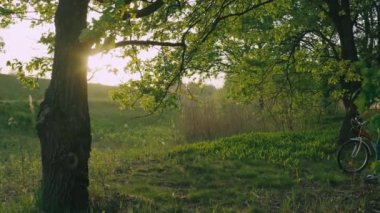 Kız gün batımında parkta bisiklet sürüyor. Ağaçlar ve çimlerle çevrili güzel bir kadın bisikleti yuvarlıyor. Aktif eğlence tek başına.