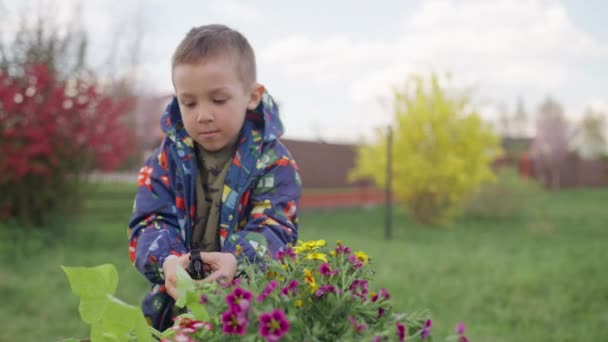 Het Kind Drenkt Bloemen Tuin Met Water Jongen Sprenkelt Water — Stockvideo