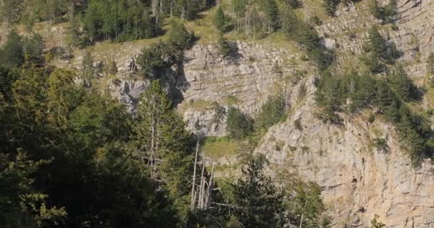 Krásné Video Hor Skálami Útesy Stromy Krajina Fotografie Pořízené Kameru — Stock video