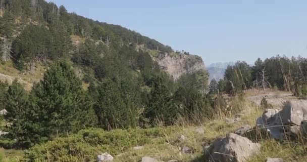 Hermoso Video Montañas Con Rocas Acantilados Árboles Imagen Del Paisaje — Vídeos de Stock