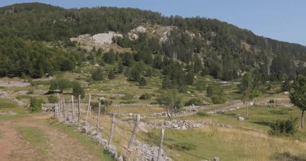 몬테네그로의 산길에서 사진입니다 바위와 봉우리 아름다운 산들을 수있습니다 고품질 — 비디오