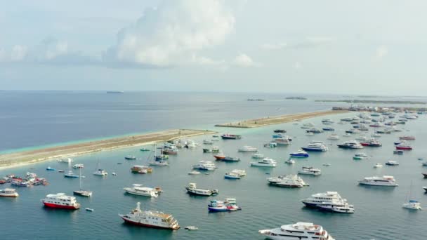 马尔代夫的空中景观 在马累的码头上 你可以看到一条独立的狭长地带 在印度洋蓝色的水域和有许多船只的港口之间 — 图库视频影像