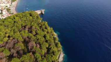 Karadağ 'daki Adriyatik kayalık coas deniz manzarası. Büyük ağaçlar, ön planda çam ağaçları. Arka planda şehrin olduğu körfezi görebilirsiniz. Yüksek kalite 4k görüntü