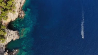 Karadağ 'daki Adriyatik kayalık coas deniz manzarası. Büyük ağaçlar, ön planda çam ağaçları. Arka planda şehrin olduğu körfezi görebilirsiniz. Yüksek kalite 4k görüntü