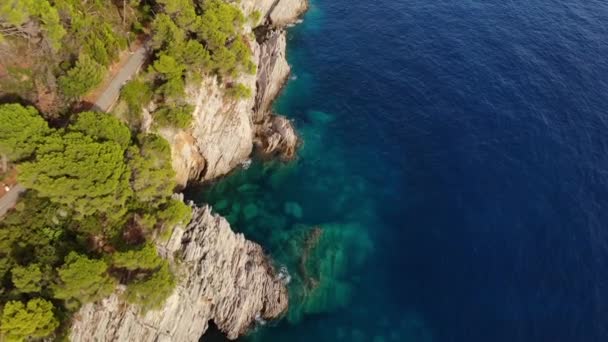 Vista Aérea Por Mar Adriático Rocoso Coas Montenegro Grandes Árboles — Vídeo de stock