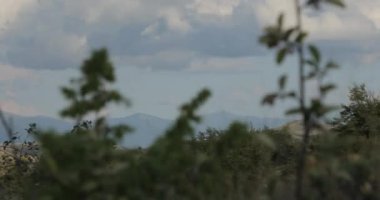 Güzel dağlar Ohri Makedonya. Kayaların üzerinde ağaçlar, güzel taşlar, dağ zirveleri ve uçurumlar ve dokulu gökyüzü olan dağ sıraları. Yüksek kalite 4k görüntü