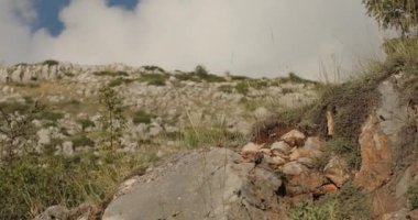 Güzel dağlar Ohri Makedonya. Kayaların üzerinde ağaçlar, güzel taşlar, dağ zirveleri ve uçurumlar ve dokulu gökyüzü olan dağ sıraları. Yüksek kalite 4k görüntü