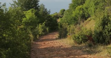 Makedonya dağlarında güzel bir yol. Dağların arasında kayalar, ağaçlar, taşlar ve arka planda dağ tepeleri ve tepeler var. Yüksek kalite 4k görüntü