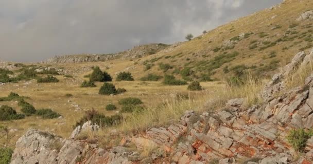 Hermosas Montañas Ohrid Macedonia Cordilleras Con Árboles Las Rocas Con — Vídeo de stock