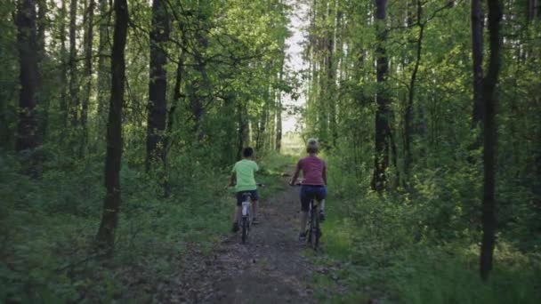 Rodzina Rowerze Lesie Piękny Krajobraz Przyrody Kobieta Dzieckiem Jazdy Razem — Wideo stockowe