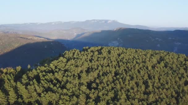 Drone Flying Mountain Peaks Ridges Covered Pine Forest Sunrise Sun — Stok video