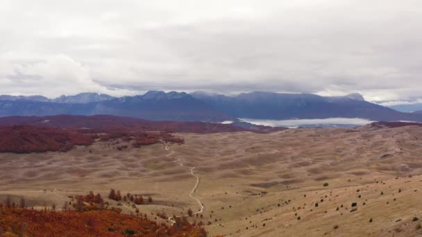 Aerial View Autumn Mountains Drone Flying Forests Covered Yellow Gold — Video