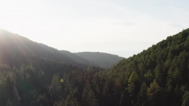 Dağlar Zirveler Arasında Ağaçların Büyüdüğü Çam Ormanlarının Havadan Çekilmiş Görüntüleri — Stok video