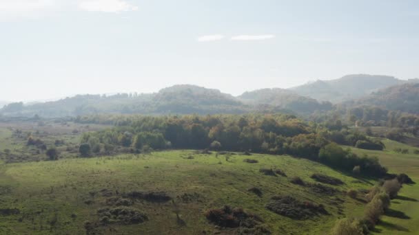 Aerial Shot Pine Forests Trees Growing Mountains Mountain Ranges Peaks — Vídeos de Stock