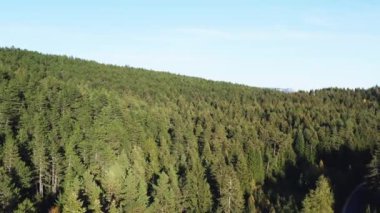 Dağlar ve zirveler arasında ağaçların büyüdüğü çam ormanlarının havadan çekilmiş görüntüleri. Dağlardaki ormanların güzel arka plan videoları.