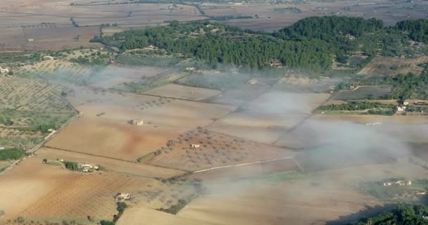 Αεροφωτογραφία Των Αγροτικών Περιοχών Τοπίου Καλλιέργεια Φυτών Φυτείες Ξημέρωμα Που — Αρχείο Βίντεο
