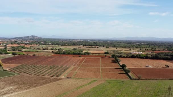 Αγροκτήματα Dron Βίντεο Αεροφωτογραφία Τοπίου Αγροκτήματα Που Οργώνονται Πάνω Στα — Αρχείο Βίντεο