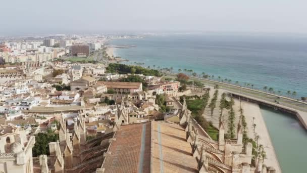 Cathédrale Palma Espagne Dron Vidéo Vue Aérienne Sur Partie Historique — Video