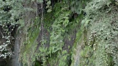 Yağmur ormanlarındaki bir şelalenin insansız hava aracı videosu. Dağ manzaralı romantik doğal bir yer. Suyun aktığı ve kayalardan fışkırdığı yer. Antalya Türkiye 'nin havadan görüşü. Yüksek kalite 4k görüntü