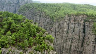 Drone video of a landscape of a natural place in the mountains. Beautiful canyon with rocks and cliffs on which pine forests grow. Aerial view Antalya Turkey. High quality 4k footage