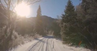 Dağlarda kış ormanı. Çam ağaçları ve dağ sıraları ile güneş ışığı arasında uzanan dağlara uzanan bir yol ile güzel bir manzara. Yüksek kalite 4k görüntü