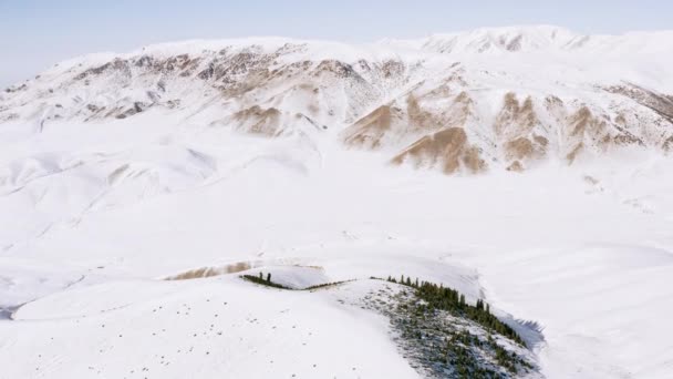 Drone Video Nature Mountain Landscape Winter Beautiful Mountain Slopes Peaks — Stockvideo