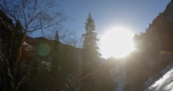 Bella Foresta Invernale Montagna Gli Alberi Natale Crescono Sulle Pendici — Video Stock