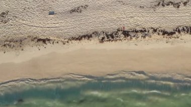 Drone video of the seascape after the storm. The coastline of the sea with a sandy dirty beach on which the waves brought algae. Aerial view Mexico. High quality 4k footage