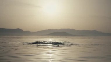 Time-lapse video of a girl lifting her hair and head out of the water after bathing at sunrise. Woman on vacation by the ocean in a beautiful landscape floats, wet hair. High quality 4k footage