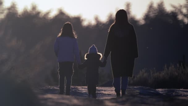 Promenades Famille Dans Beau Paysage Coucher Soleil Silhouette Une Mère — Video