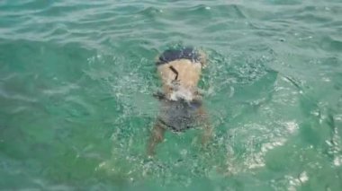 Denizde yüzen bir kızın yaşam tarzı yavaş çekim videosu. Okyanus kıyısında tatilde olan bir kadın suda yüzüyor, mayolu ve mutlu..