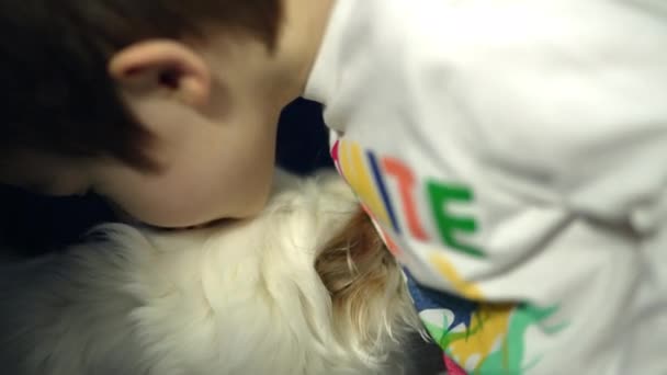 Boy Playing Small Dog Friendship Children Pets Boy Kisses Puppy — Video