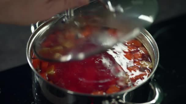 Gotowanie Zupy Domu Kuchence Rondel Którym Wrze Czerwona Pomidorowa Zupa — Wideo stockowe